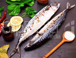 mackerel in spices on a black wooden background