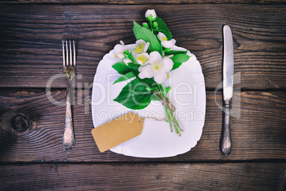 White plate and metal cutlery