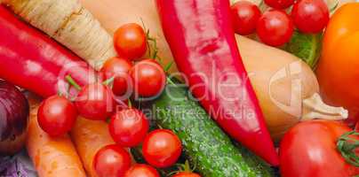 bright background of ripe vegetables