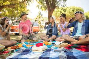 Cheerful friends having drink during picnic