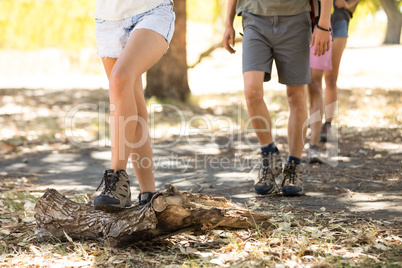 Low section of friends walking by wood on field