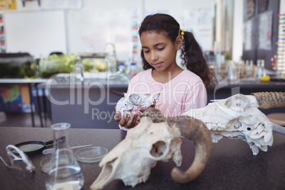 Schoolgirl holding animal skull