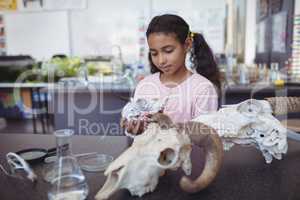 Schoolgirl holding animal skull