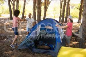 Smiling friends preparing tent