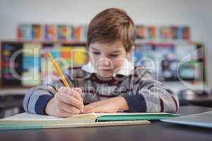 Concentrated schoolboy studying in classroom
