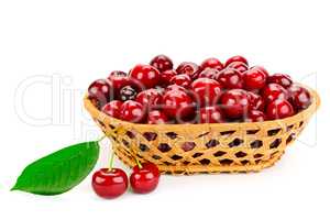 Ripe cherries in basket isolated on white