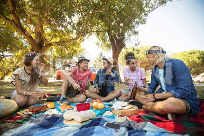 Friends talking while having food during picnic