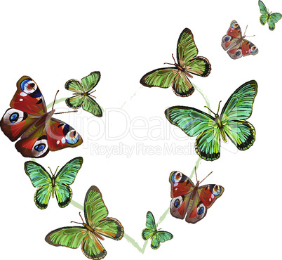 heart of butterflies on white background