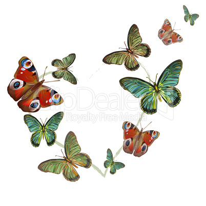 heart of butterflies on white background