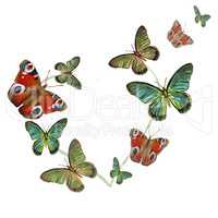 heart of butterflies on white background