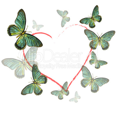 heart of butterflies on white background