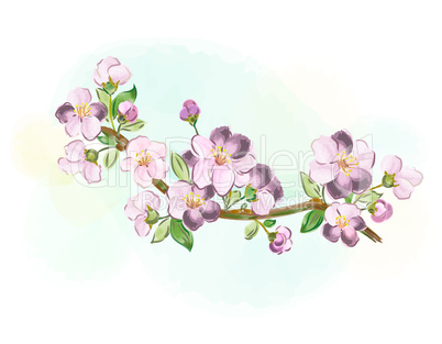 sakura branch for greeting cards and greetings