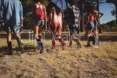 Rear view of friends walking on field