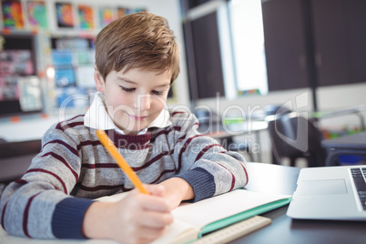 Smiling elementary schoolboy studying in classroom