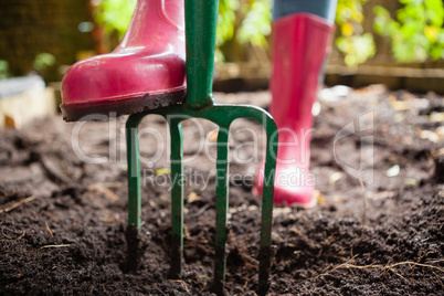 Low section of woman wearing pink rubber boot standing with gardening fork on dirt