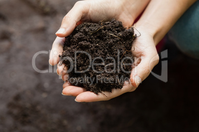 Cropped hands of female gardener holding soil