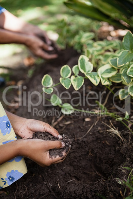 Cropped hands of girl and senior woman holding dirt by plants