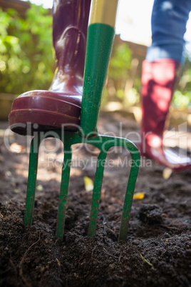 Low section of senior woman standing with garden fork on dirt