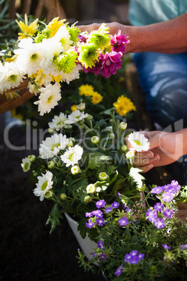 Senior woman with granddaughter plucking various flowers