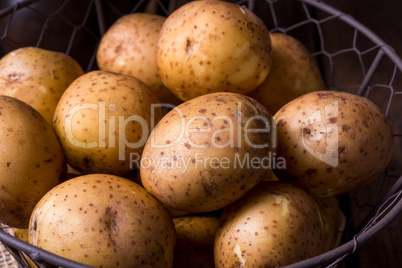 new small potatoes