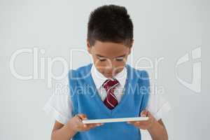 Schoolboy using digital tablet