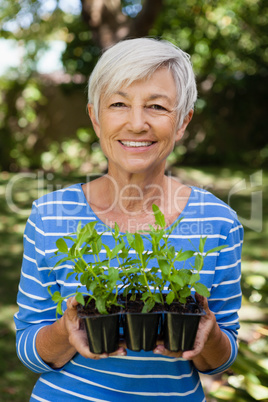 Portrait of smiling woman holding seedlings