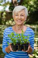 Portrait of smiling woman holding seedlings