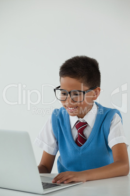 Schoolboy using laptop