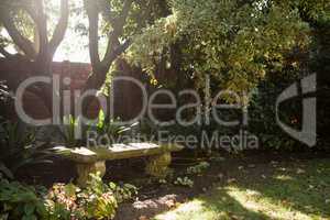 Empty stone bench by plants against surrounding wall