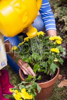 Cropped image of girl and grandmother watering yellow flowers