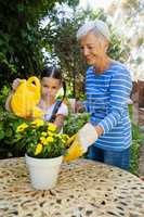 Smiling senior woman standing by granddaughter watering yellow flowers on table