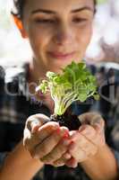 Smiling woman looking at seedling in her cupped hands