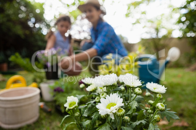White flowers in pot with mother and daughter in background