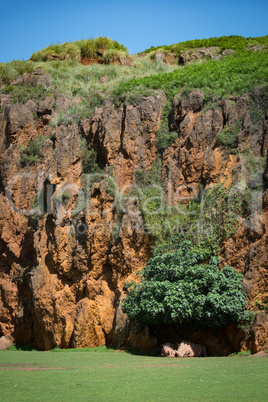 White rhinoceros lying at foot of cliff