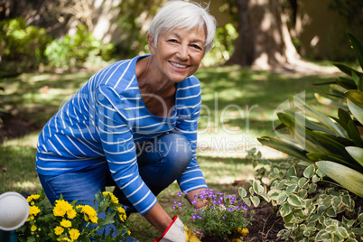 Portrait of happy senior woman kneeling while planting flowers