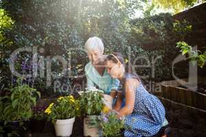 Grandmother looking at girl planting flower pots