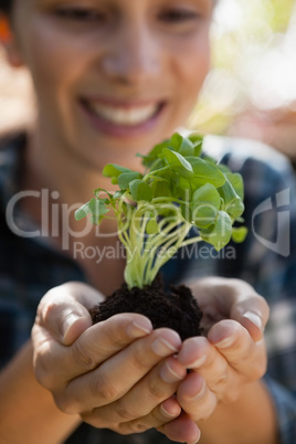 Close-up of smiling young woman holding seedling