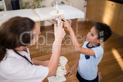 High angle view of boy and female therapist pointing at artificial spine