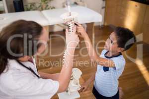 High angle view of boy and female therapist pointing at artificial spine