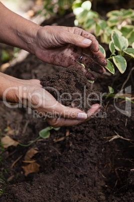 Cropped hands of senior woman holding dirt