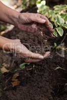 Cropped hands of senior woman holding dirt