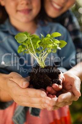 Mid section of mother and daughter holding seedling