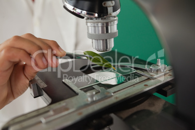 Mid-section of schoolboy using microscope