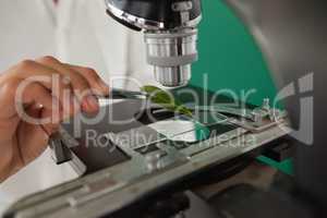 Mid-section of schoolboy using microscope