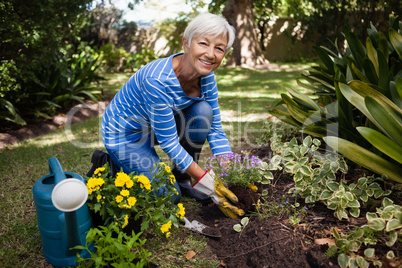 Portrait of smiling senior woman kneeling while planting flowers