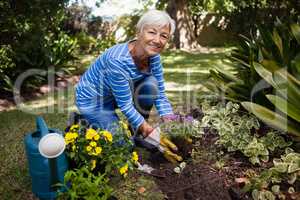 Portrait of smiling senior woman kneeling while planting flowers