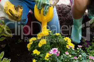 Low section of girl watering flowers with can by mother