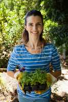 Portrait of smiling beautiful woman standing with seedlings