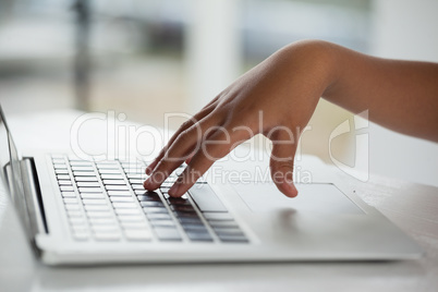 Schoolboy using laptop