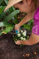 Cropped image of woman using pruning shears on flowering plant